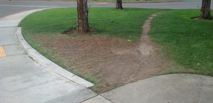 Atajo en un pequeño parque